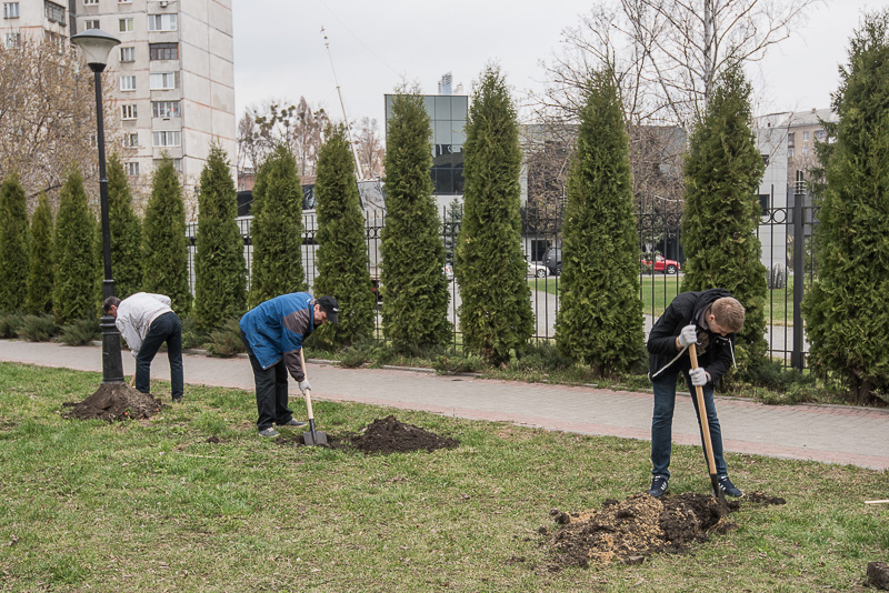 У Велозаводському сквері посадили 60 дерев - 3