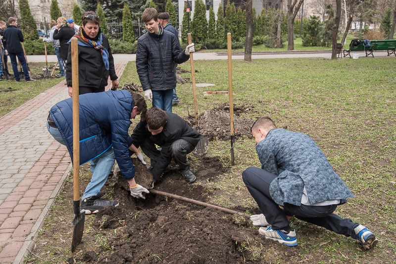 У Велозаводському сквері посадили 60 дерев - 4