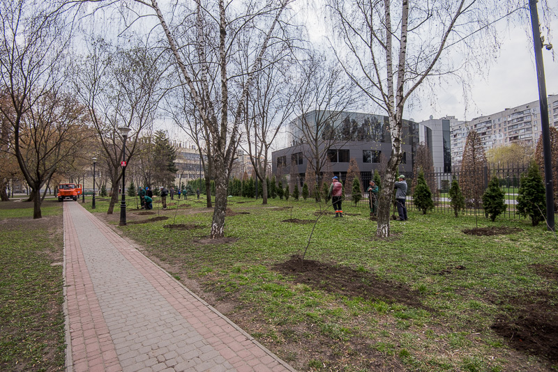 У Велозаводському сквері посадили 60 дерев - 12