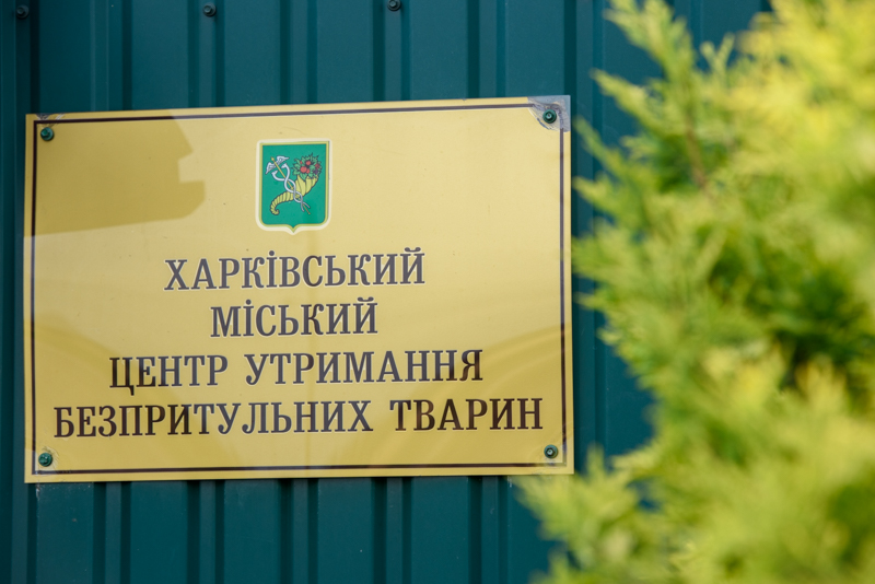 За останній місяць у харківському притулку знайшли домівку для 50 тварин - 2