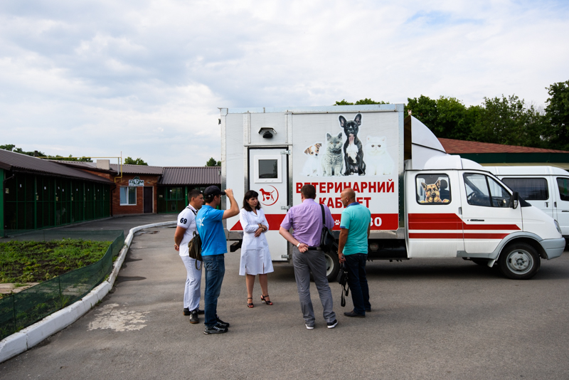 За останній місяць у харківському притулку знайшли домівку для 50 тварин - 4