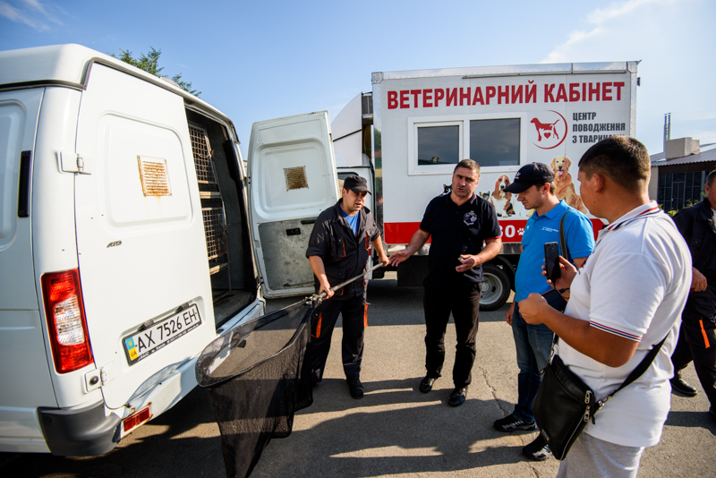 За останній місяць у харківському притулку знайшли домівку для 50 тварин - 6