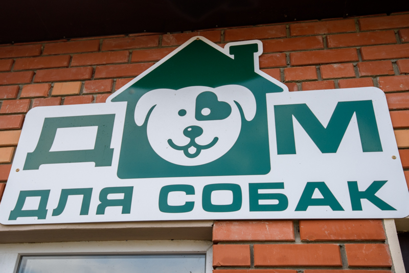 За останній місяць у харківському притулку знайшли домівку для 50 тварин - 15