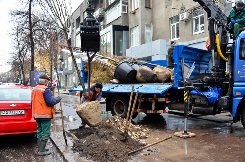 У Харкові до кінця року посадять ще близько двох тисяч дерев
