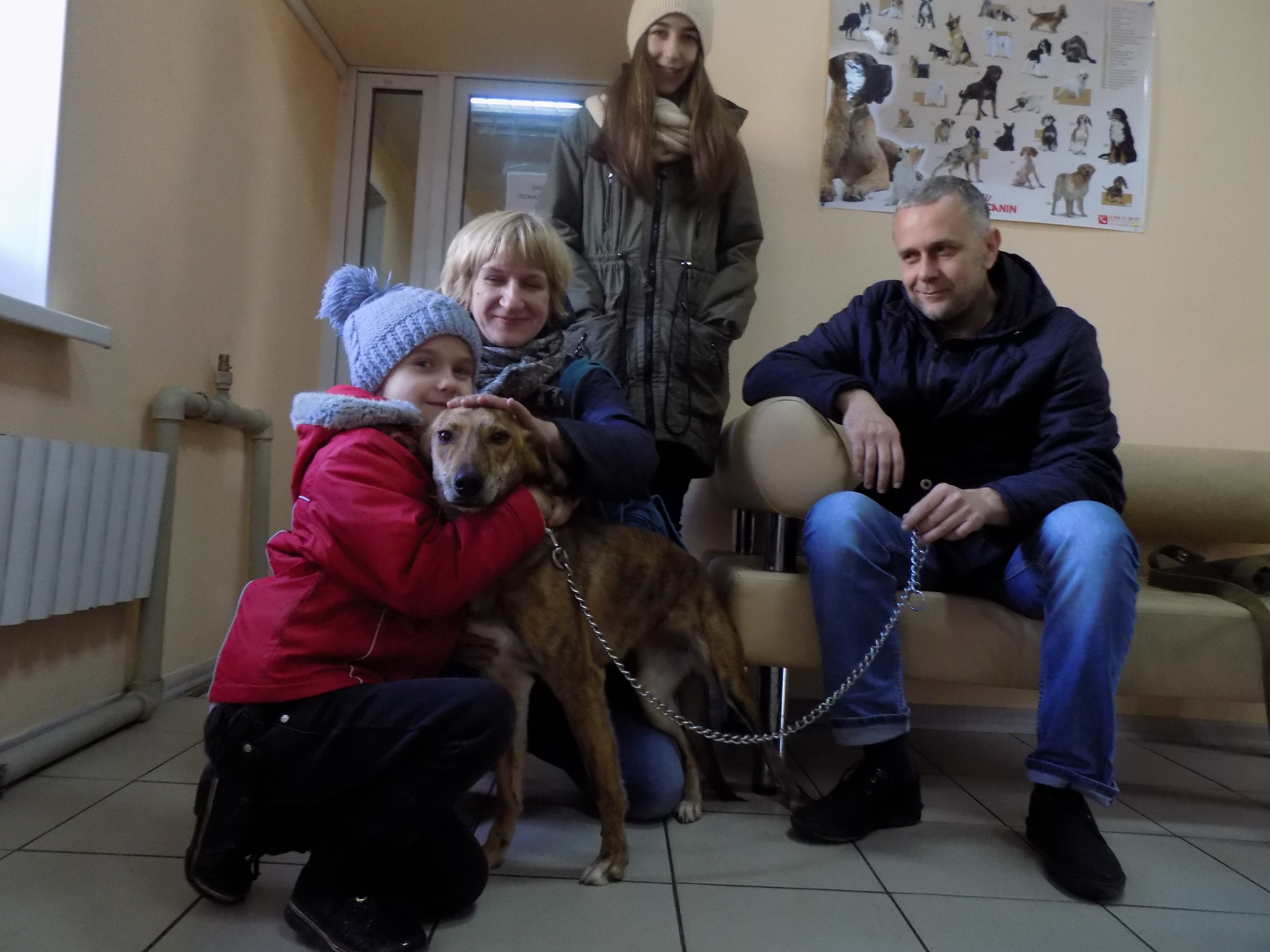 Напередодні 8 Березня в притулку для тварин пройде благодійна акція