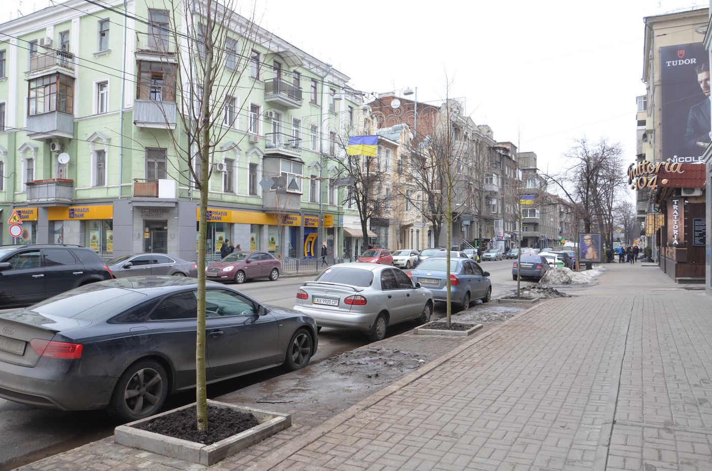 У Харкові почалася весняна висадка дерев