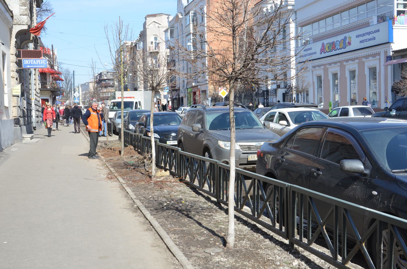 Цієї весни на вулиці Пушкінській посадять 60 дерев