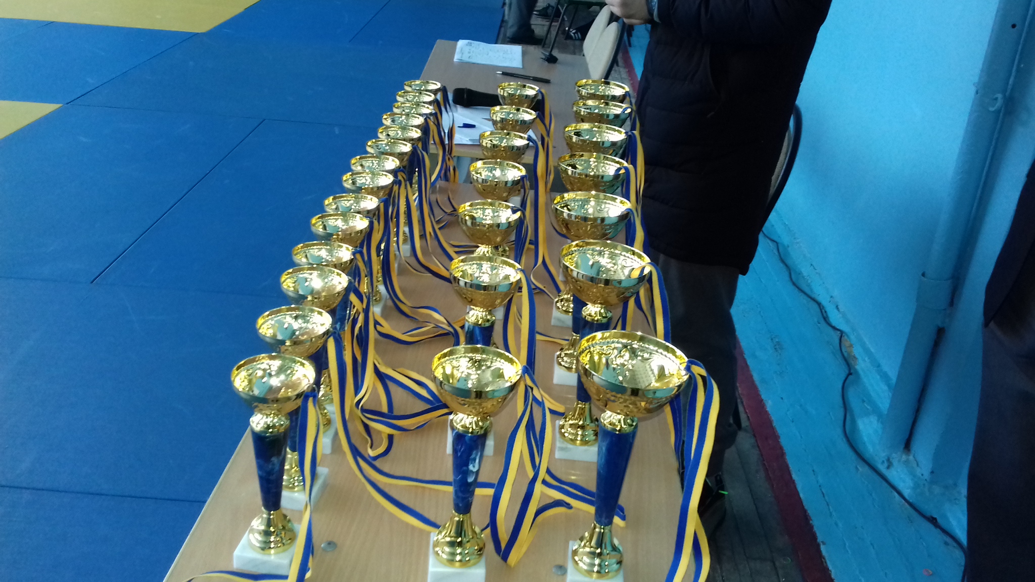 У Київському районі пройшов чемпіонат з дзюдо серед школярів