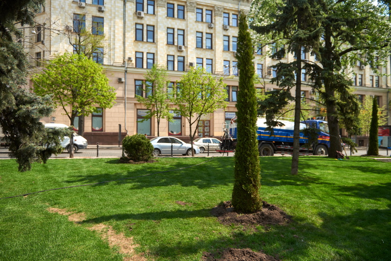 У саду Шевченка висадять 600 дерев
