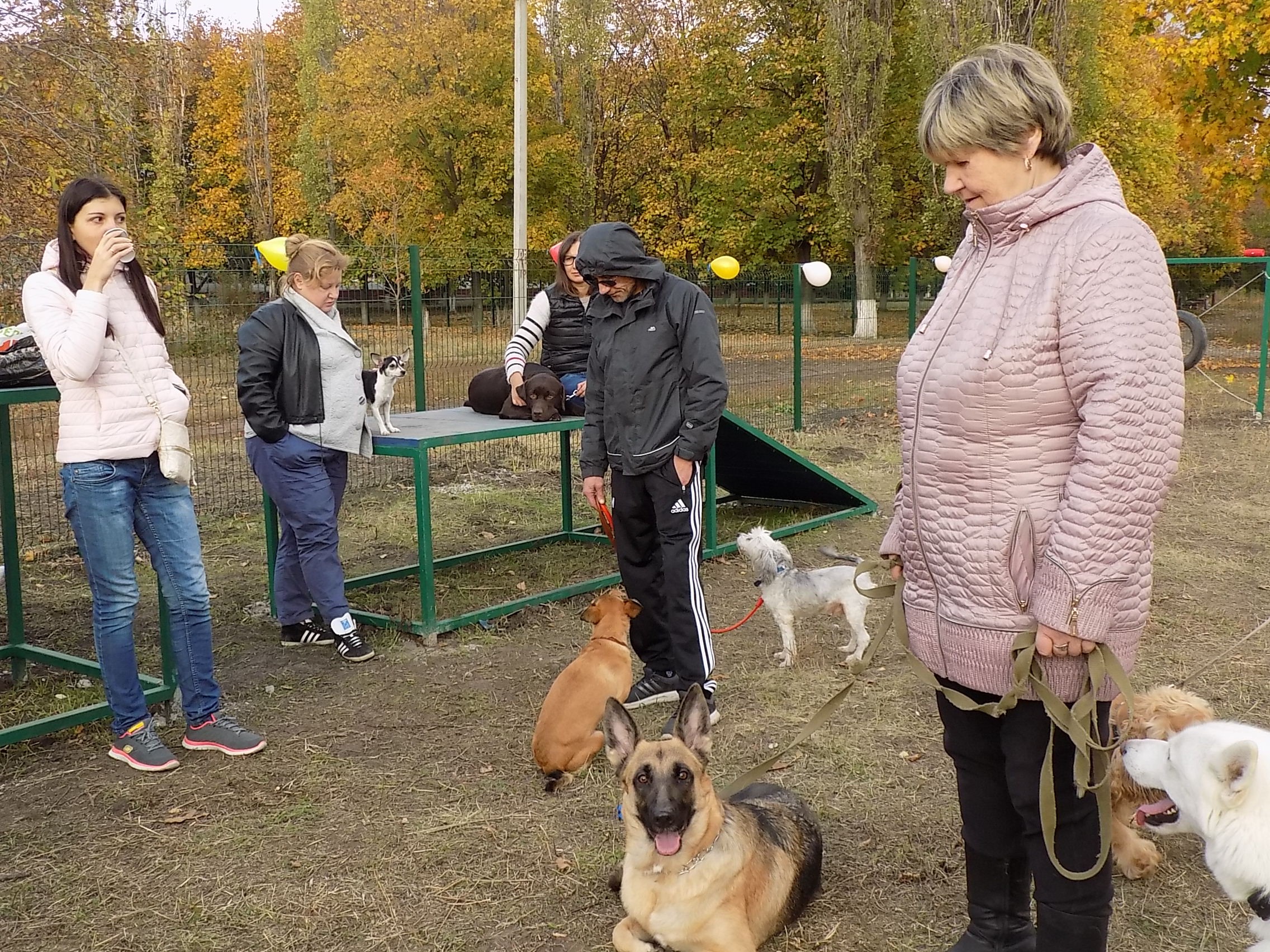 В Індустріальному районі відкрили майданчик для вигулу собак