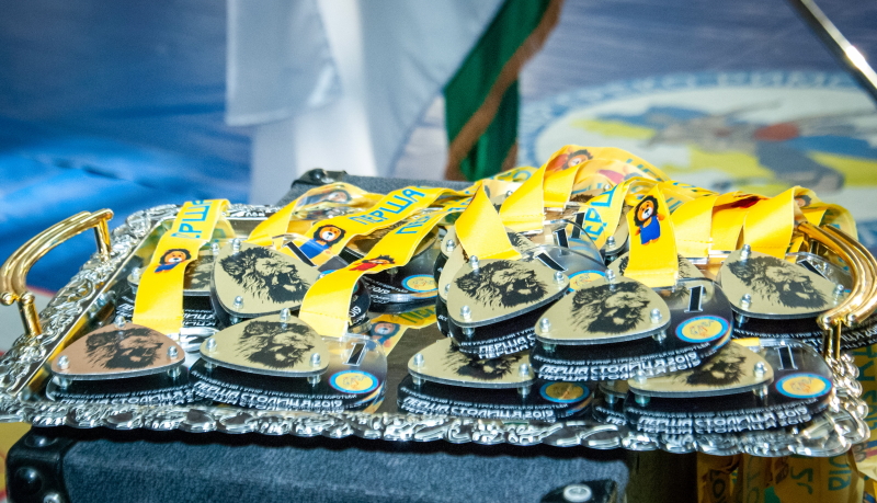 Юні харківські борці завоювали медалі на всеукраїнському турнірі
