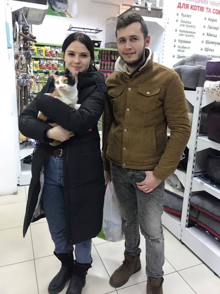 У Харкові завдяки благодійному проєкту знайшли будинок для ста котів