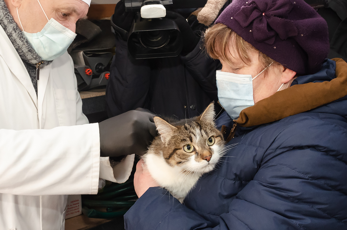 У Харкові розпочалася щорічна вакцинація домашніх тварин