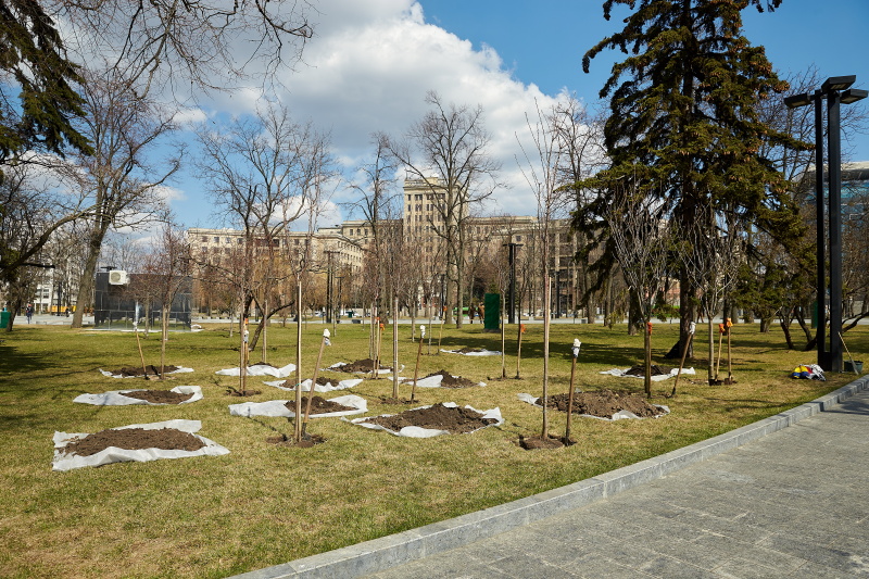 У Харкові приєдналися до глобальної екологічної акції