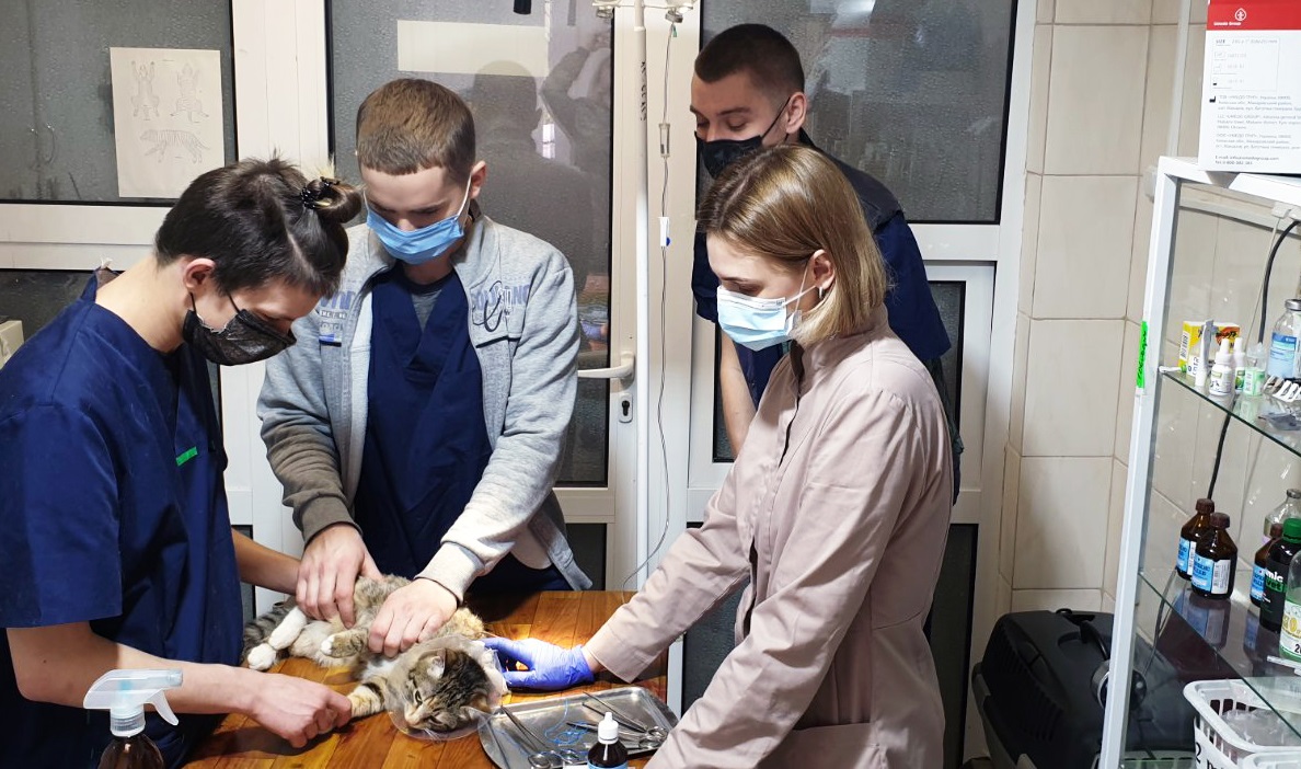 У притулку для тварин пройшов курс асистентів ветеринара