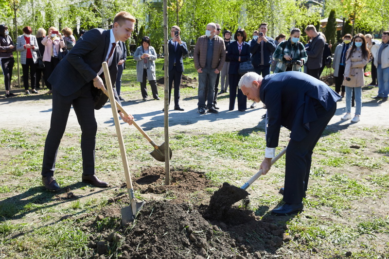 Напередодні 9 Травня у Молодіжному парку висадили алею дерев і організували зустріч ветеранів 