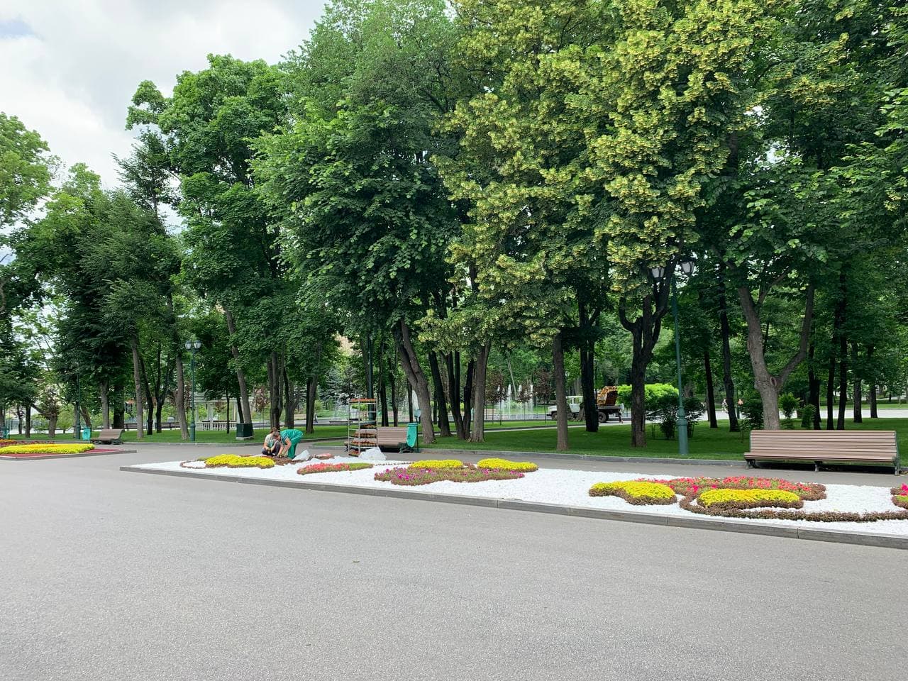 У саду Шевченка висаджують літні квіти - 11
