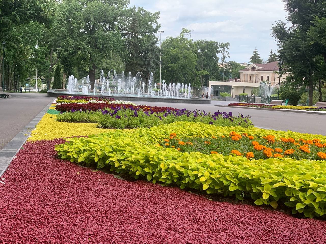 У саду Шевченка висаджують літні квіти - 12