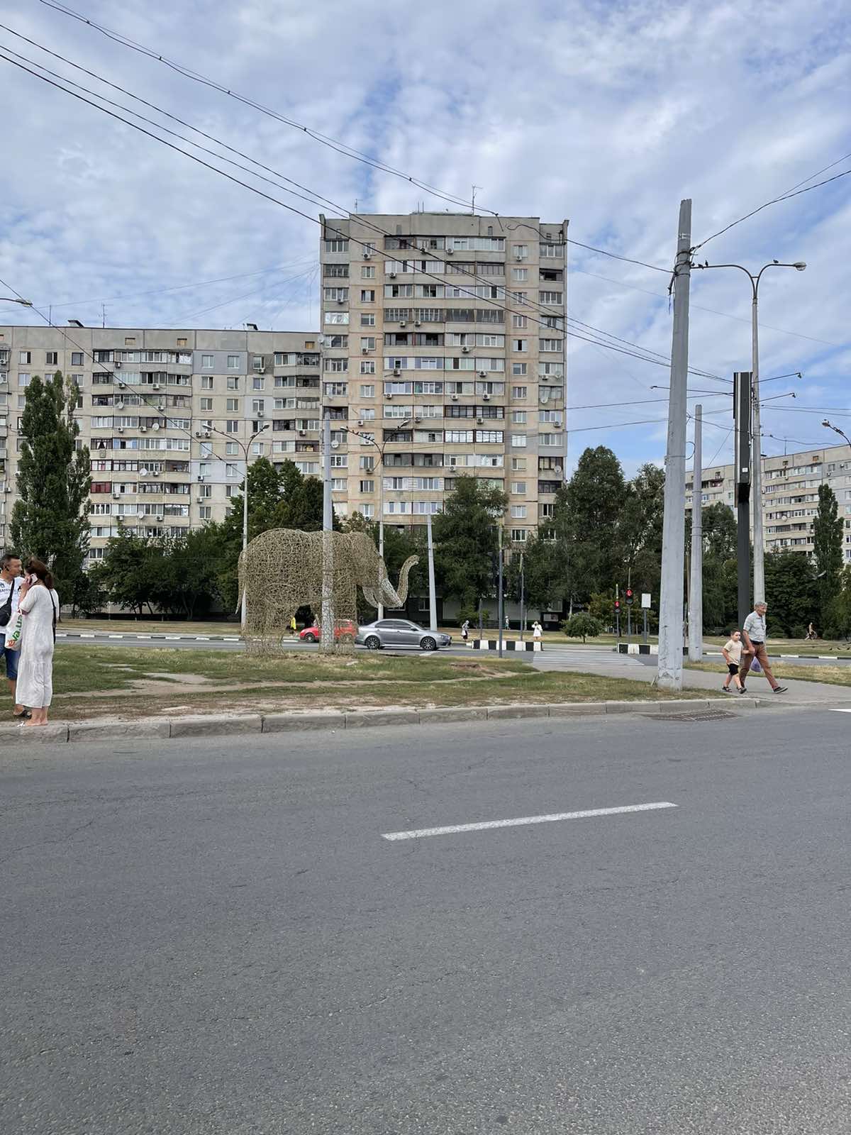 На вулицях Харкова з'явилися фігури мешканців зоопарку, які світяться