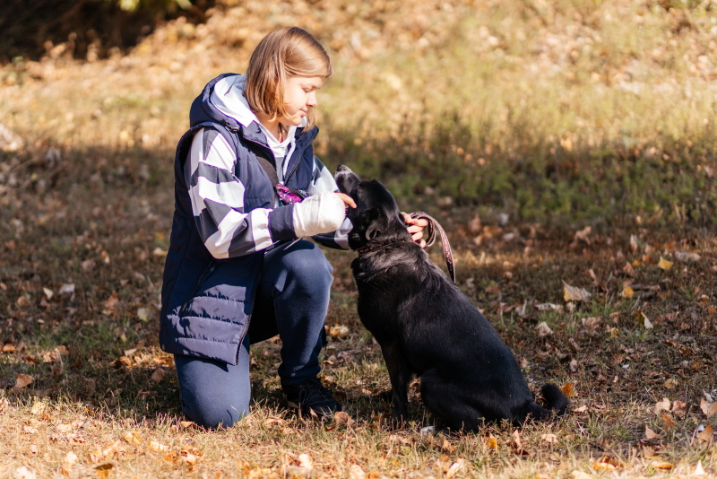 У міському притулку відзначили річницю відкриття pets-friendly контакт-центру