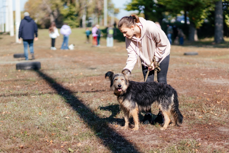 У міському притулку відзначили річницю відкриття pets-friendly контакт-центру - 2