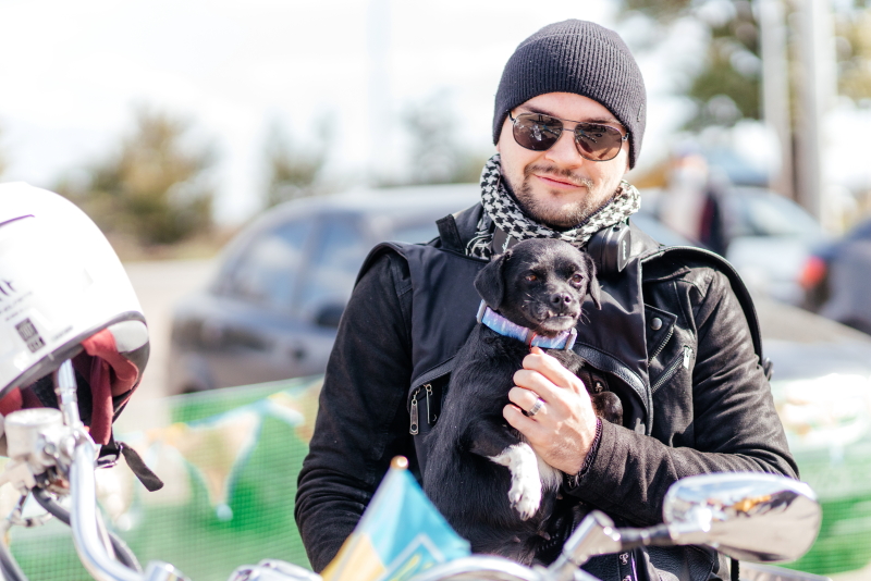 У міському притулку відзначили річницю відкриття pets-friendly контакт-центру - 11