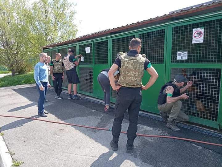 Харківський притулок отримує допомогу та знаходить будинок тваринам
