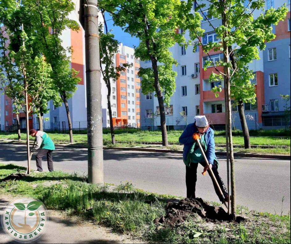 Бригади «Харківзеленбуд» прибирають зони відпочинку - 10