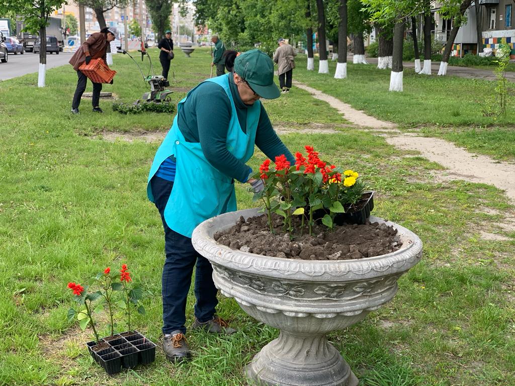 Харків продовжують приводити до ладу та прикрашати квітами - 3