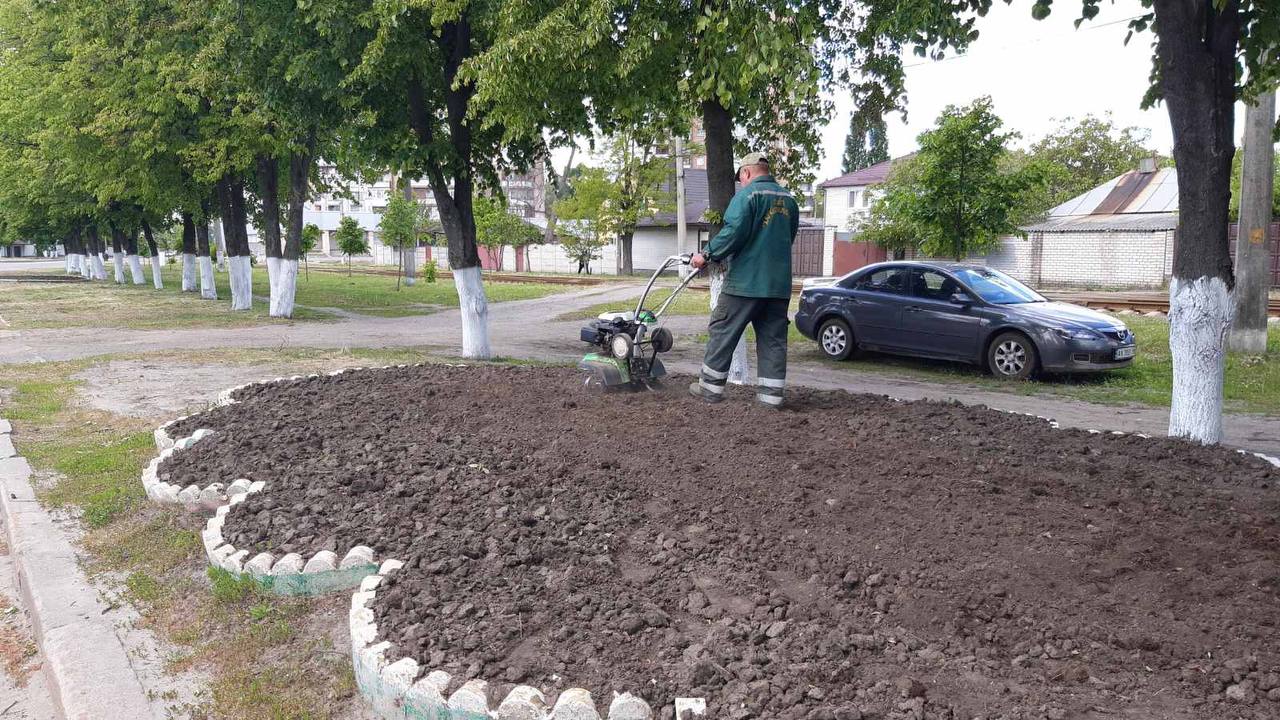 Харків продовжують приводити до ладу та прикрашати квітами - 12