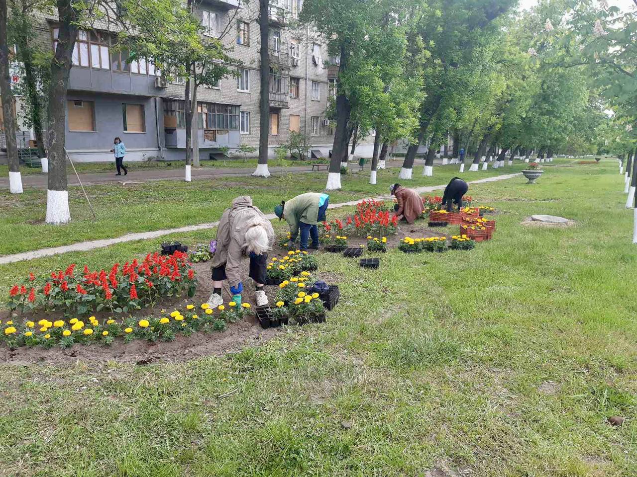 Харків продовжують приводити до ладу та прикрашати квітами - 13