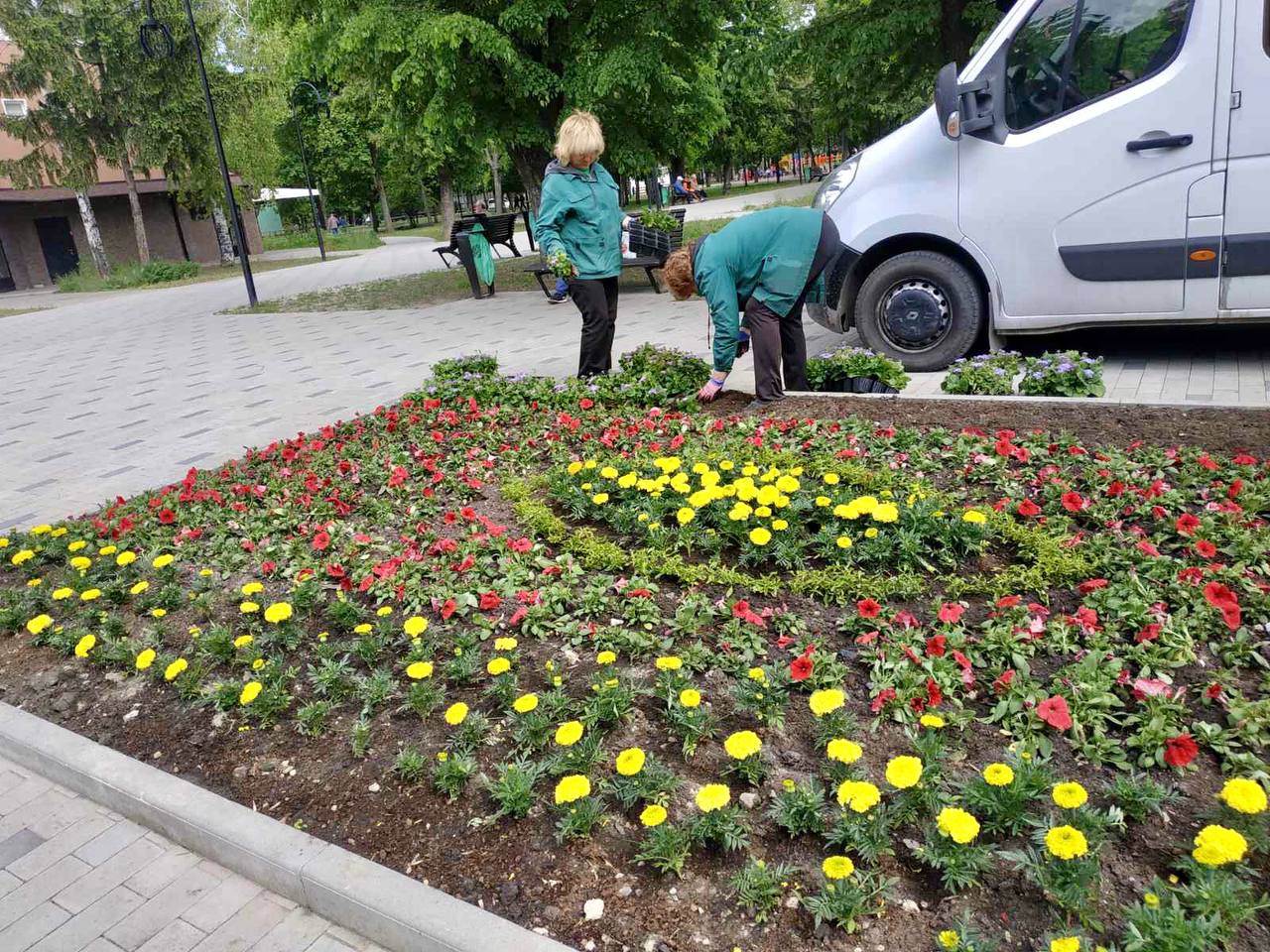 Харків продовжують приводити до ладу та прикрашати квітами - 18