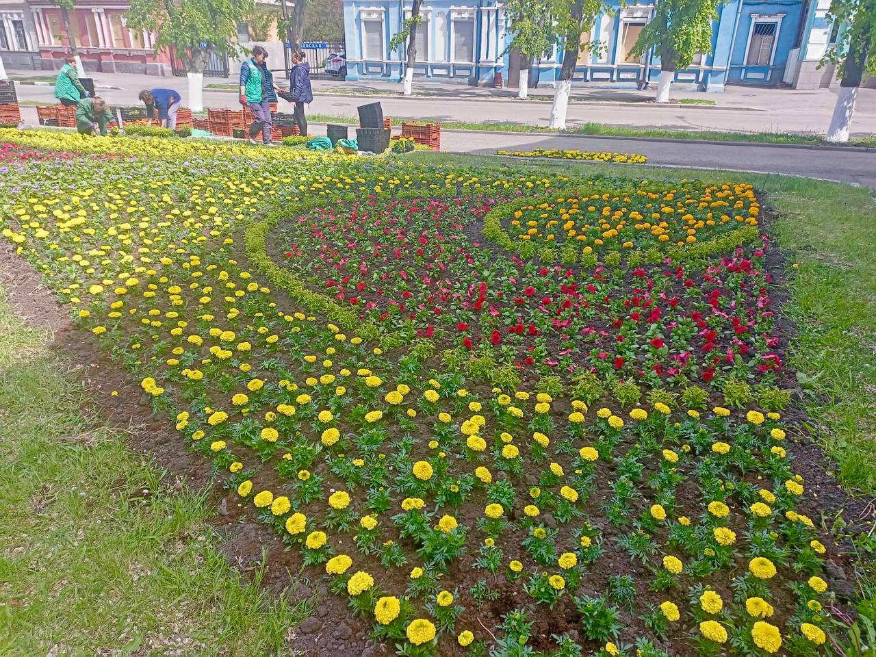 Харків продовжують приводити до ладу та прикрашати квітами - 19