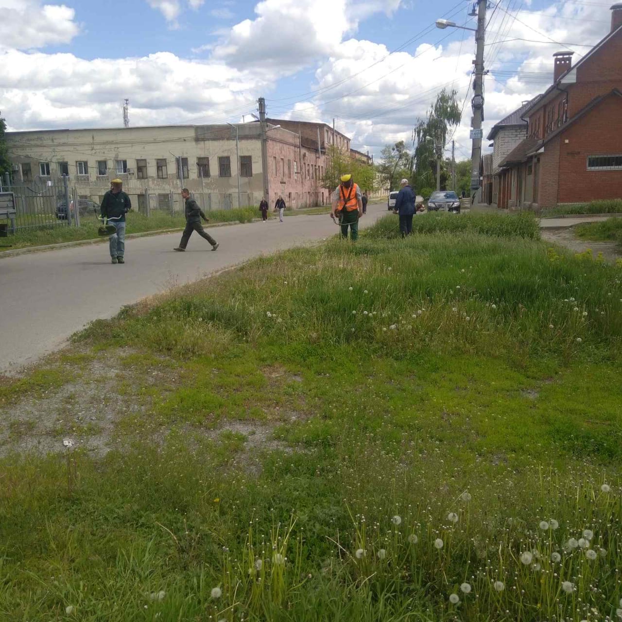 Харків продовжують приводити до ладу та прикрашати квітами - 21