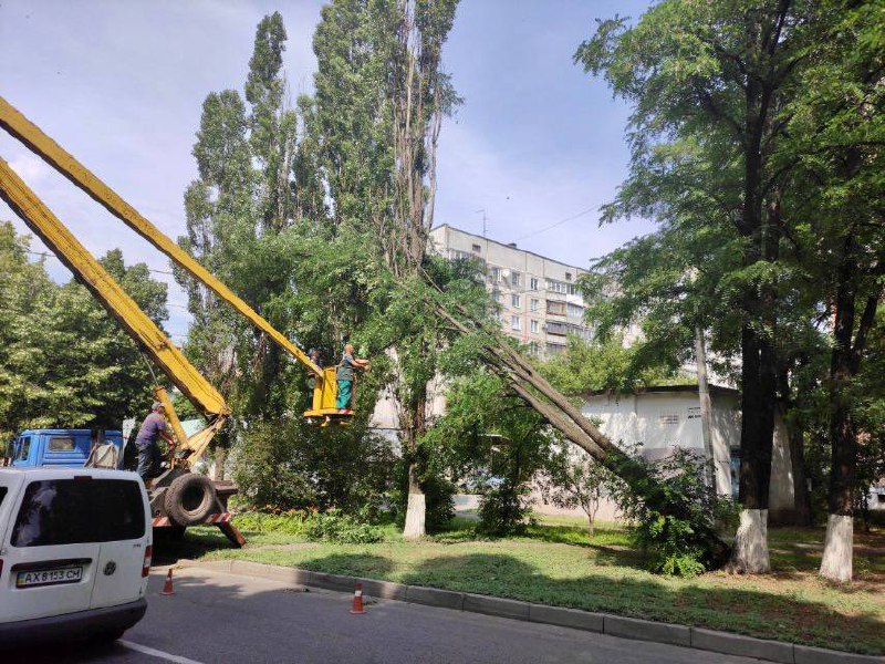 У Харкові через непогоду впало більше ста дерев