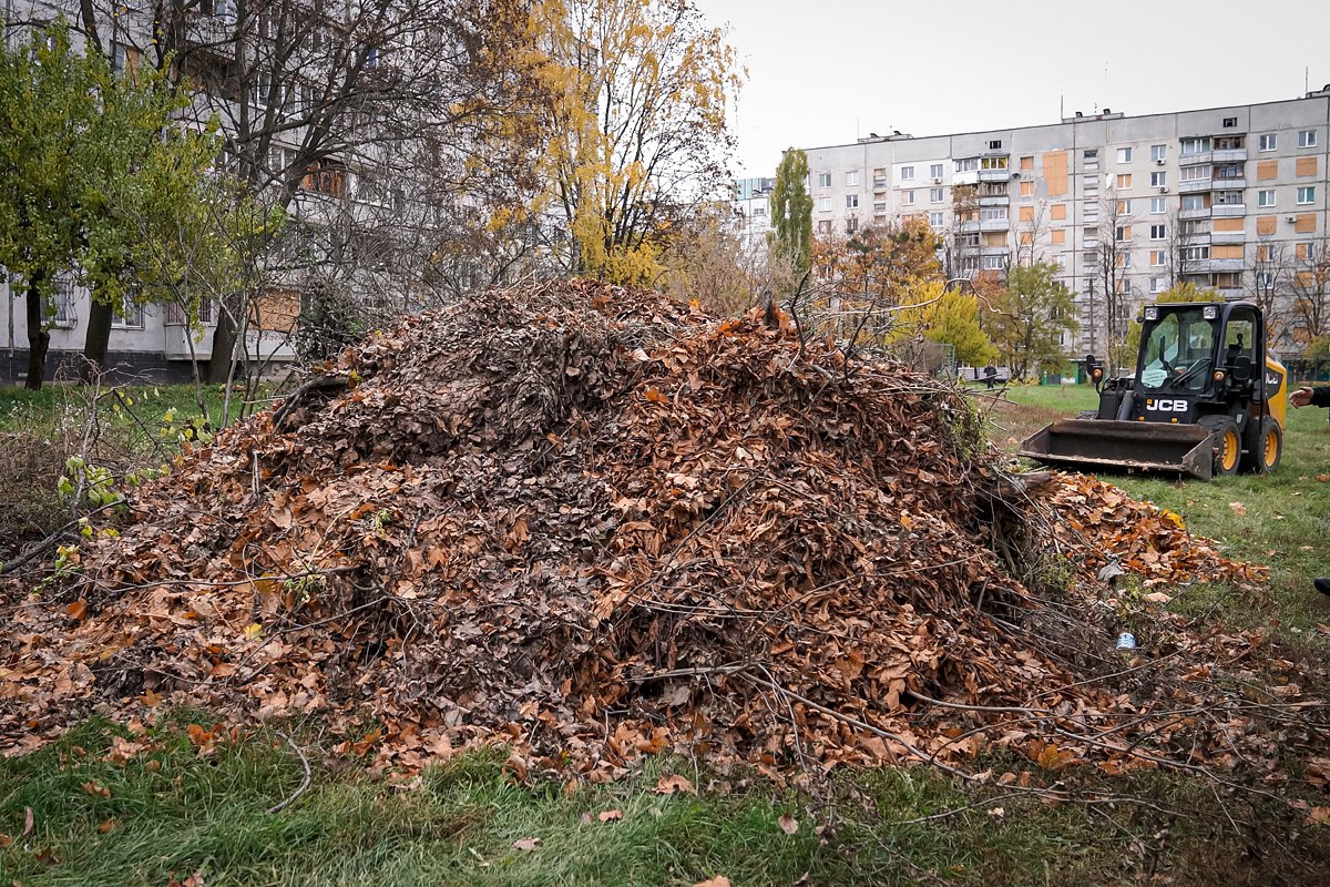 У Харкові прибирають опале листя і полегшили роботу двірників - 1