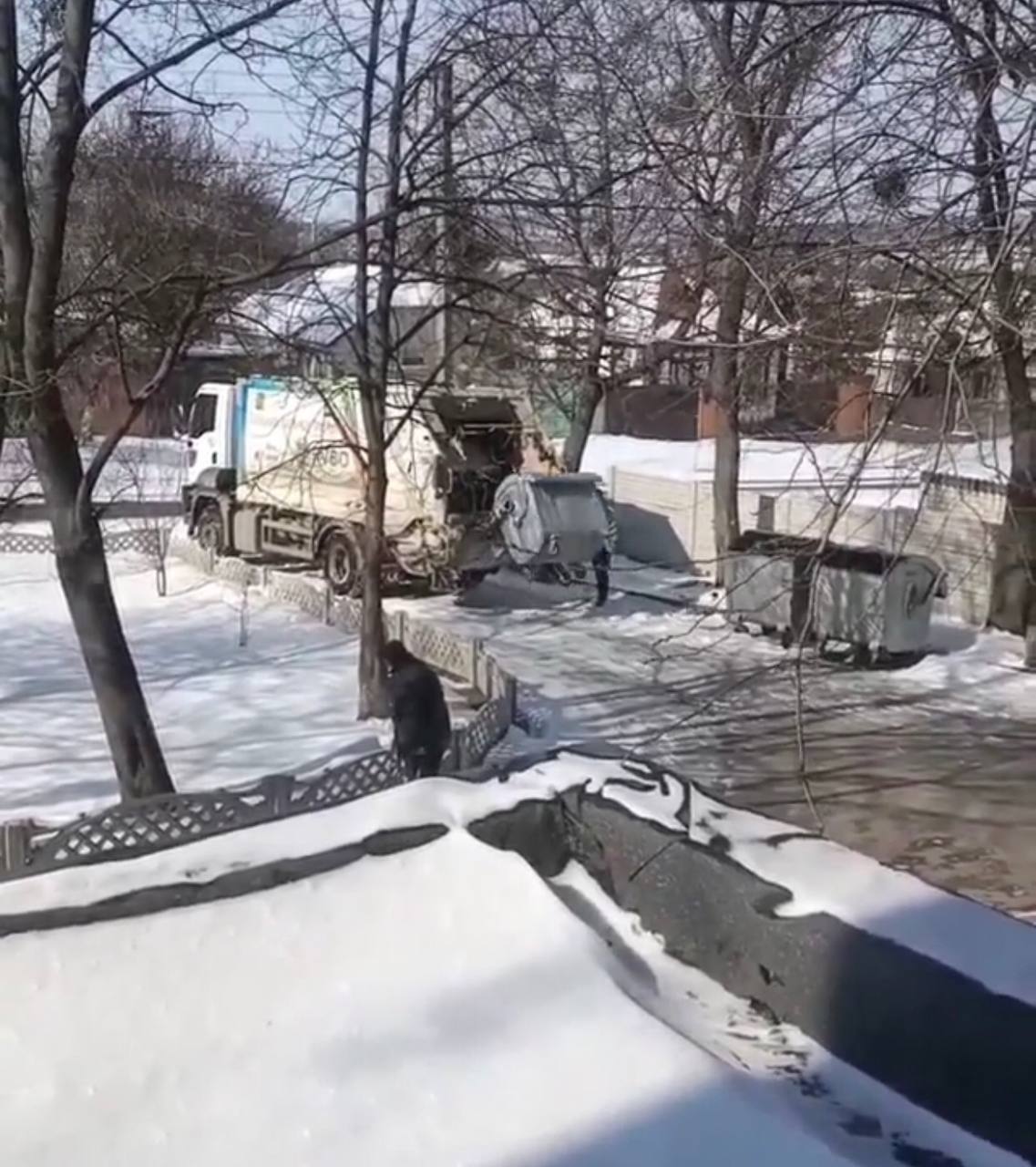 За тиждень з Харкова вивезли понад 38 тисяч кубометрів відходів