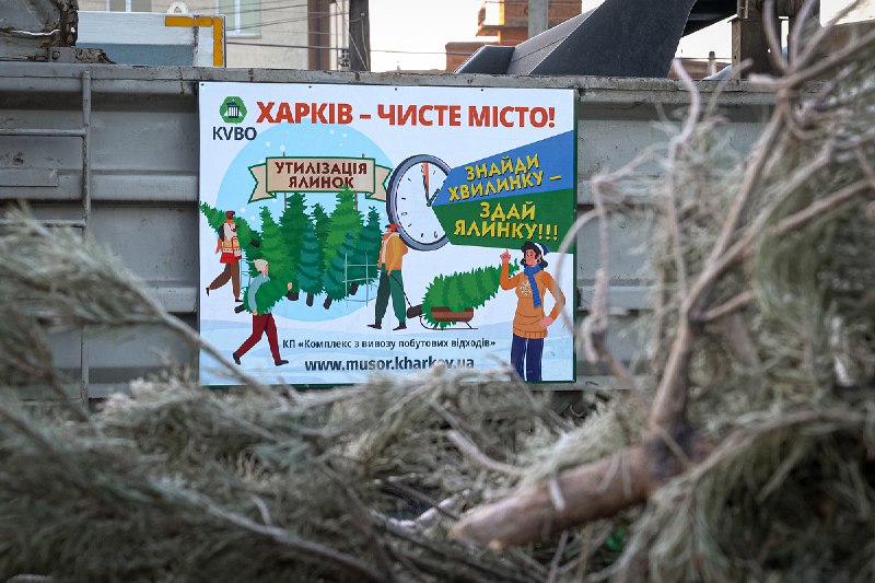 У Харкові утилізують новорічні ялинки - 1