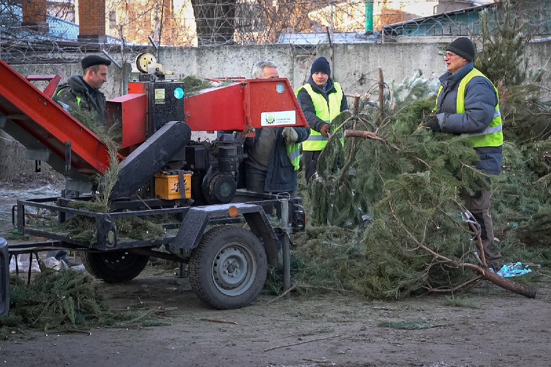 У Харкові утилізують новорічні ялинки - 2