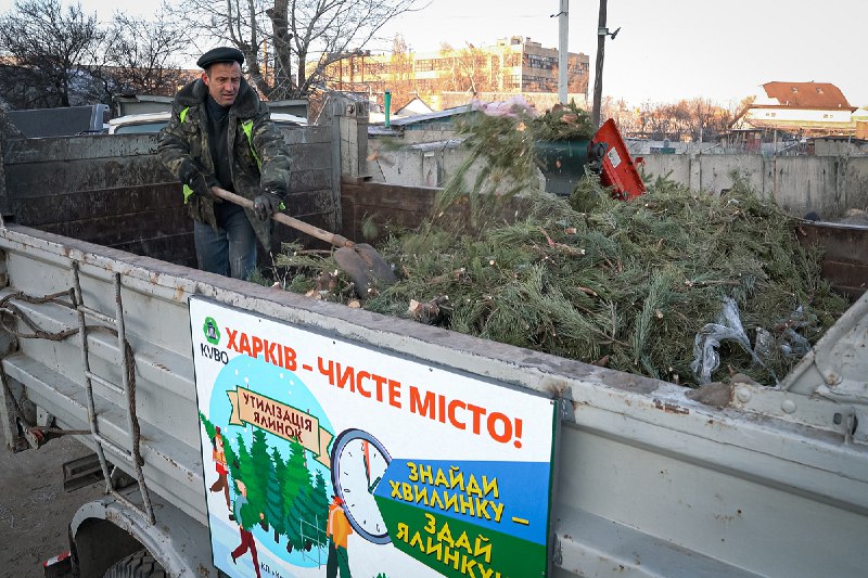 У Харкові утилізують новорічні ялинки - 7