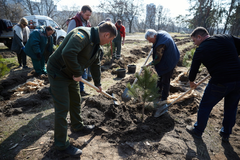 У Харкові стартувала масштабна акція з висадки дерев - 3