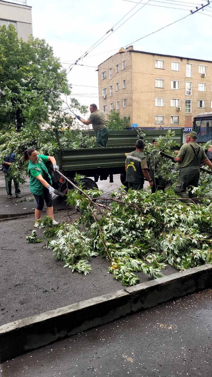 У Харкові через негоду повалило понад сто дерев - 2