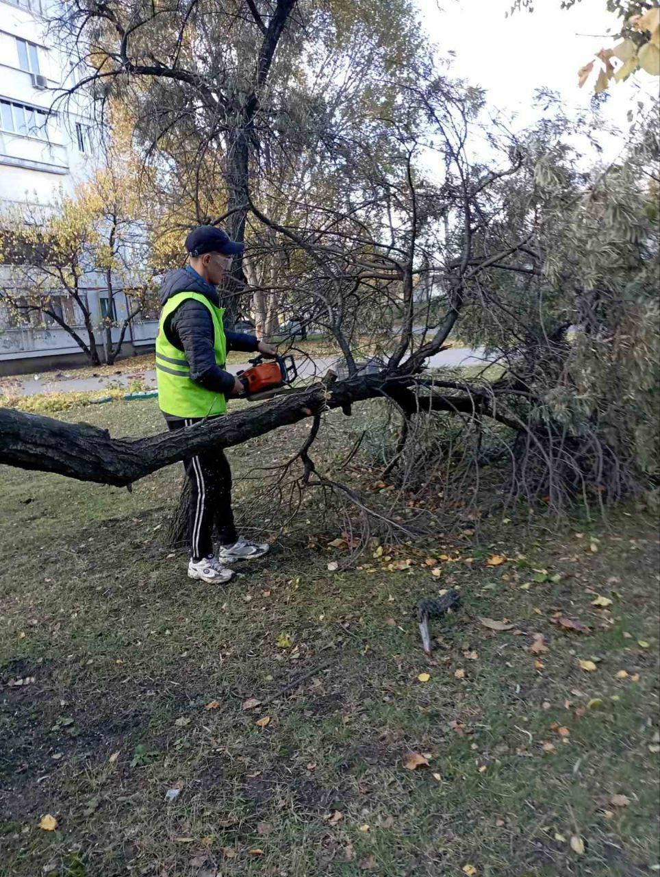 У Харкові завершують ліквідацію наслідків буревію - 4
