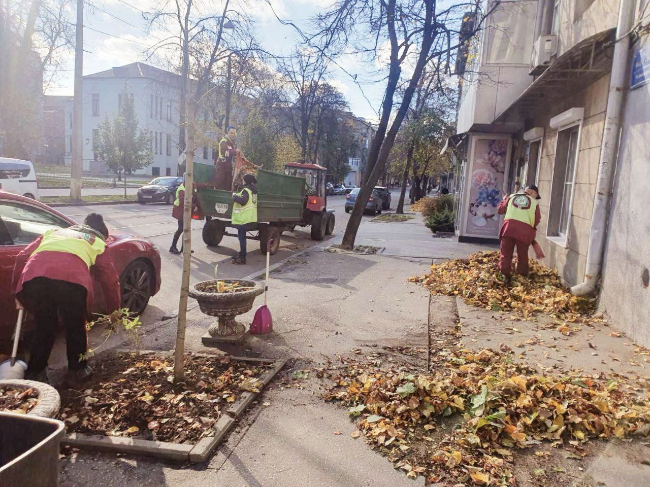 У Харкові завершують ліквідацію наслідків буревію - 6