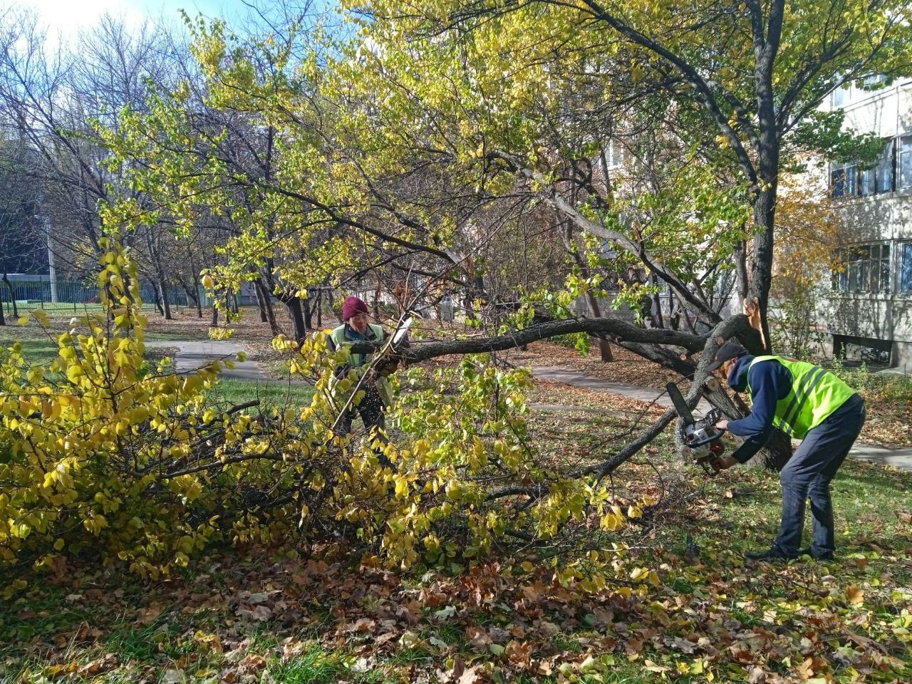 У Харкові завершують ліквідацію наслідків буревію - 8