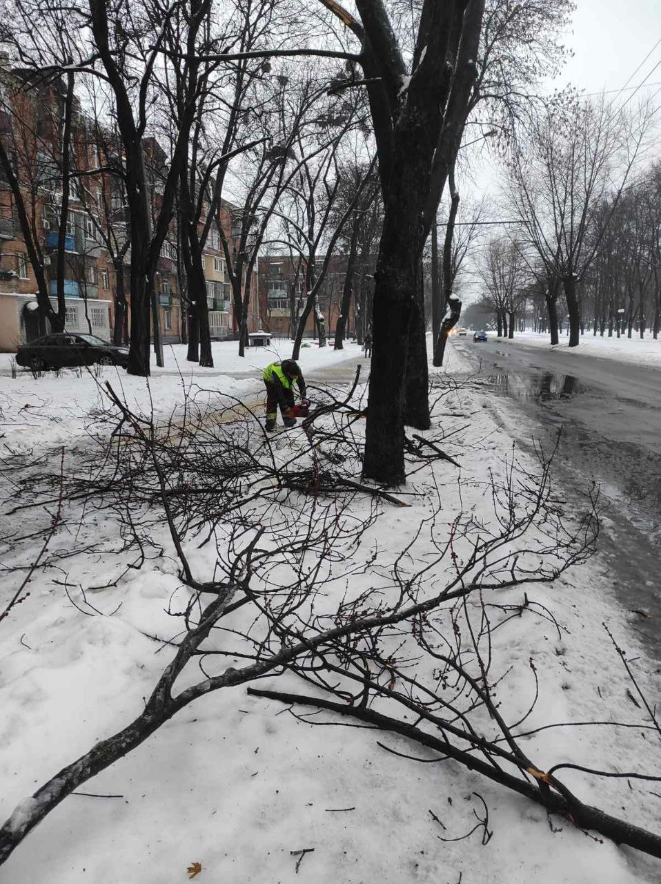 Комунальники боряться з ожеледицею та розпилюють повалені дерева 