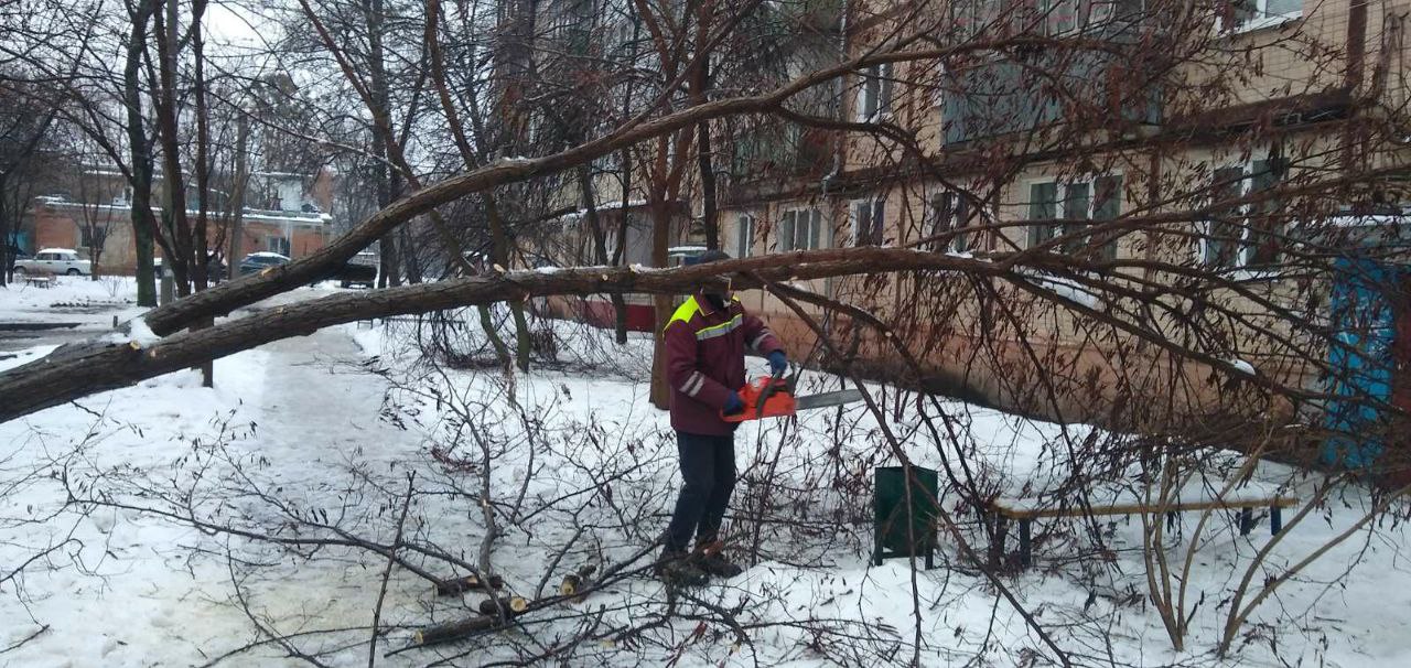 Комунальники боряться з ожеледицею та розпилюють повалені дерева - 6