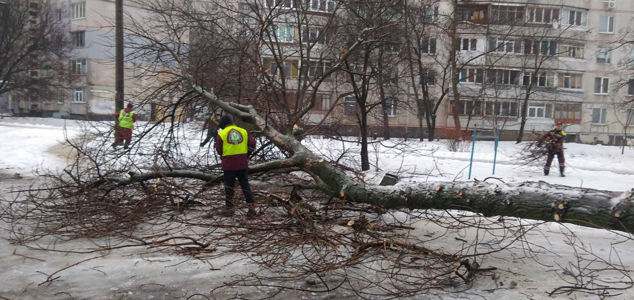 Комунальники боряться з ожеледицею та розпилюють повалені дерева - 7