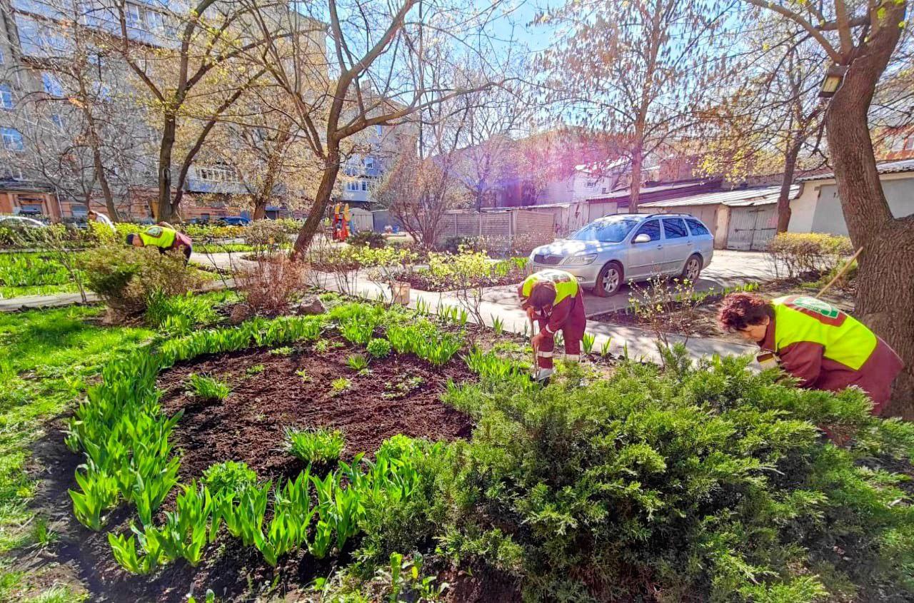 У Харкові пройшов черговий суботник - 9