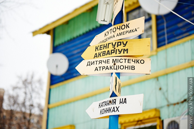 Цього року в харківському зоопарку планують побудувати Будинок жирафів
